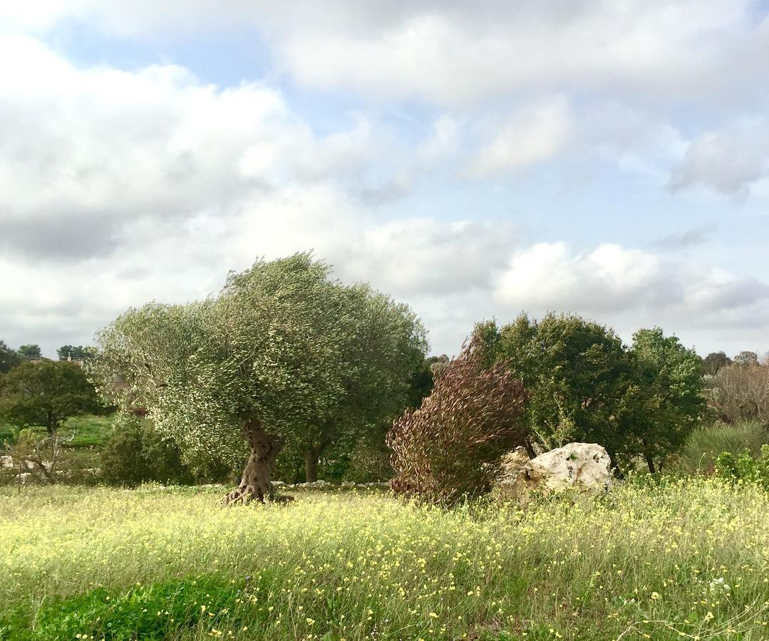Podere Papilio Alberobello Exterior foto