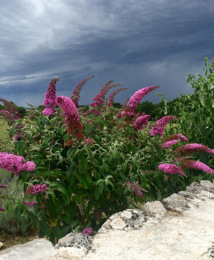 Podere Papilio Alberobello Exterior foto